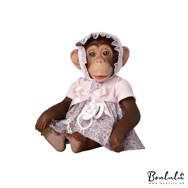 Chimpanse - Lola